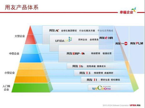 软件项目管理的能力评估